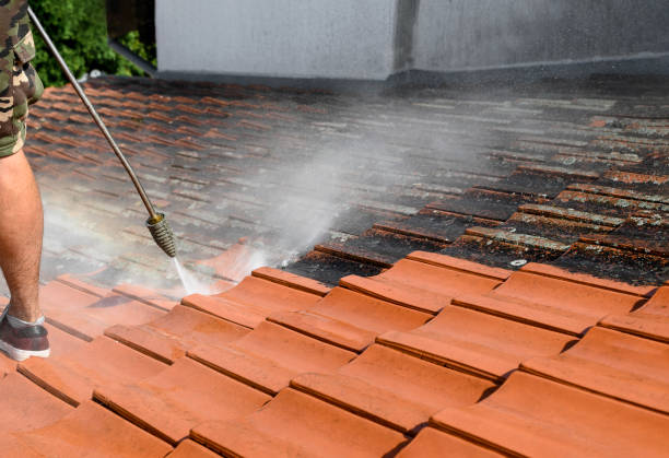 Best Roof Pressure Washing  in New Ellenton, SC