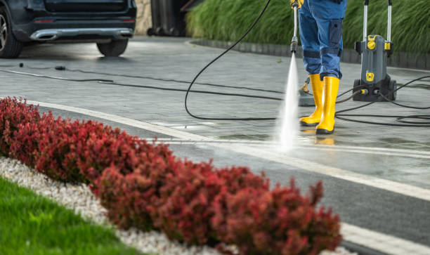 Best Pressure Washing Company Near Me  in New Ellenton, SC